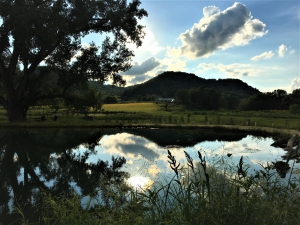 Ed's Marsh at sundown