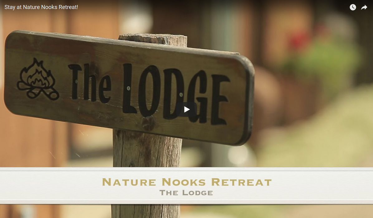 Cabins Video